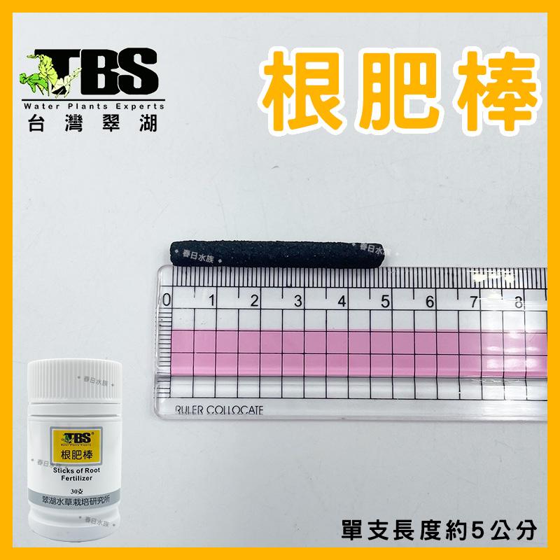 臺灣翠湖 TBS 根肥豆40g(50±5粒入) 水草根肥 肥料 養殖水草 施肥 微量元素 水草缸 鐵肥 鐵質