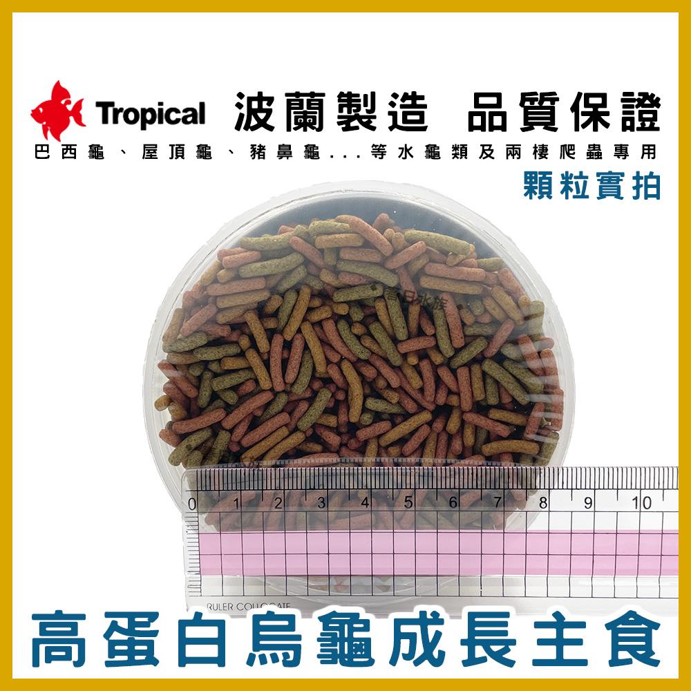 Tropical 高蛋白乾蝦／烏龜成長飼料 烏龜乾蝦 烏龜飼料 乾燥蝦 鈣質 蝦乾 斑龜飼料 德比克