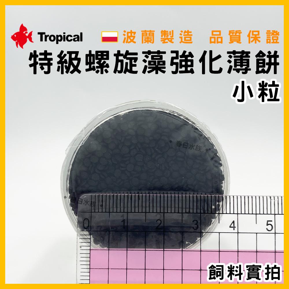 波蘭製造 Tropical 36% 特級螺旋藻強化薄餅 異型飼料 鼠魚飼料 金魚 沉底飼料