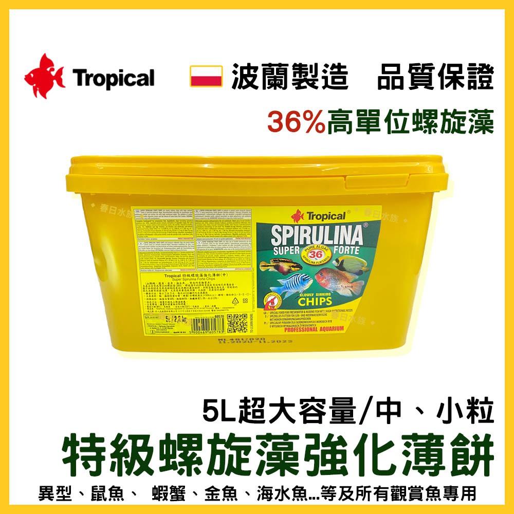 波蘭 Tropical  36% 5L 特級螺旋藻強化薄餅 異型 鼠魚 螺旋藻 金魚 沉底飼料 德比克