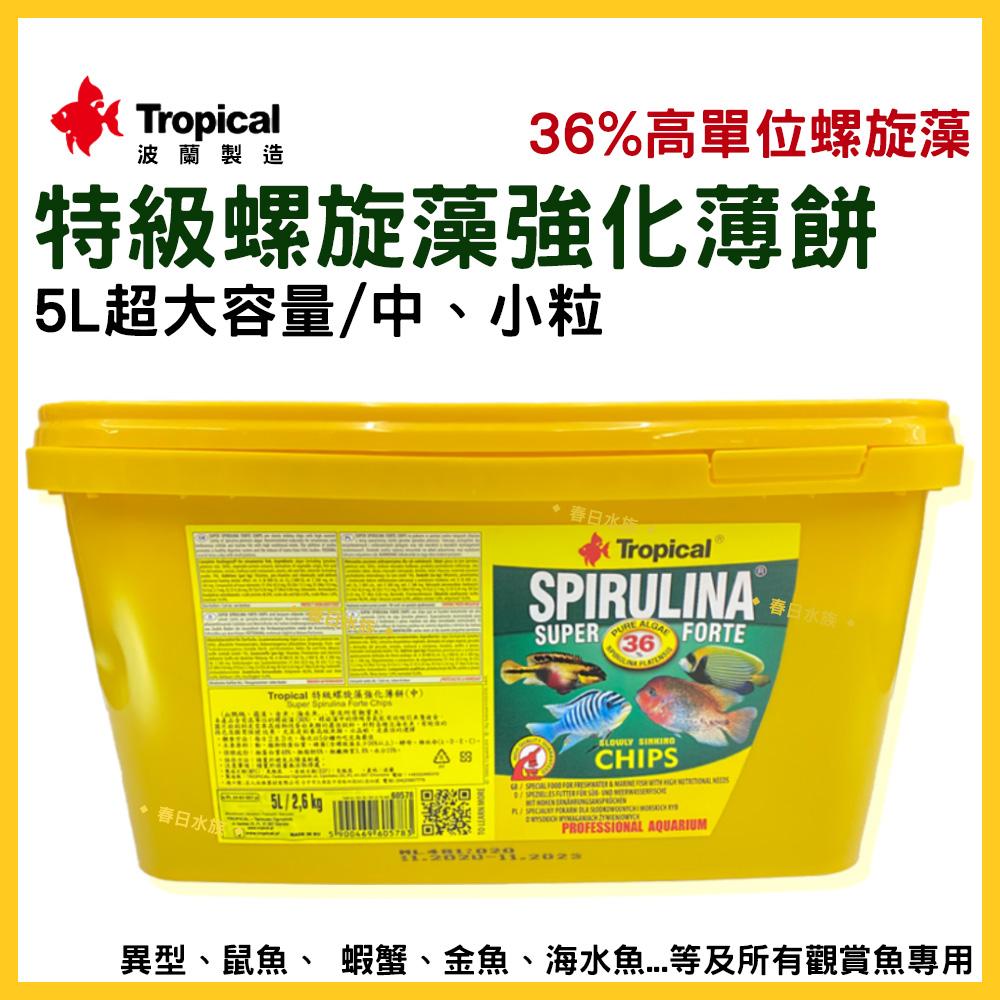 波蘭 Tropical  36% 5L 特級螺旋藻強化薄餅 異型 鼠魚 螺旋藻 金魚 沉底飼料 德比克