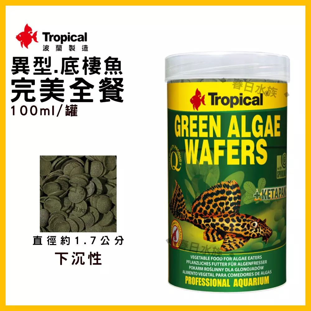 Tropical 異型底棲魚完美全餐 沉水性 異形 鬍子 皇冠豹 底棲 鼠魚 熊貓異型 下沉藻類飼料 德比克