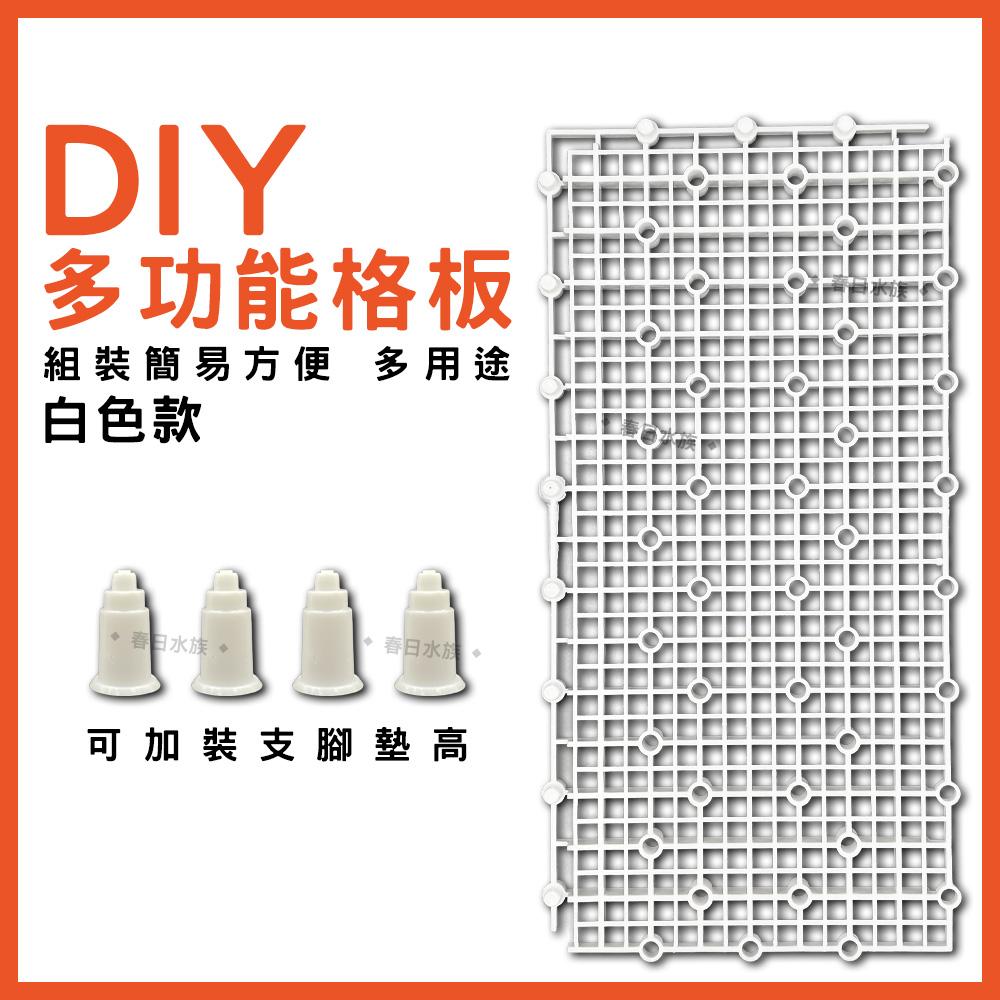多功能格板 蛋白機墊高 底濾板 魚缸隔離板 網板 珊瑚基座 DIY烏龜曬台 乾濕分離 底濾版 底濾缸