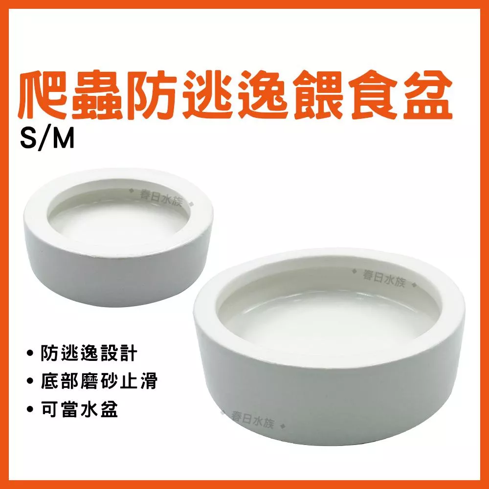 爬蟲防逃逸餵食盆 S / M 爬蟲類 餵食皿 餵食碗 角蛙 守宮 小寵物 陶瓷 食盆 水盆 陶瓷 陸龜 鼠魚