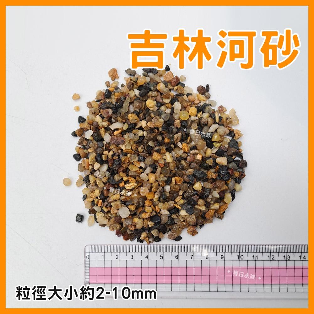 水族底砂 吉林河砂 1.5KG / 3KG 魚缸底砂 造景底砂 天然流砂 河溪石 孔雀魚 魚缸裝飾 河砂