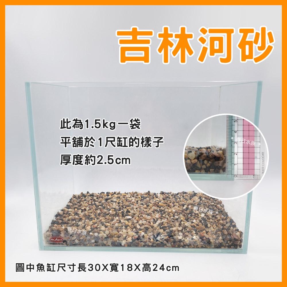 水族底砂 吉林河砂 1.5KG / 3KG 魚缸底砂 造景底砂 天然流砂 河溪石 孔雀魚 魚缸裝飾 河砂