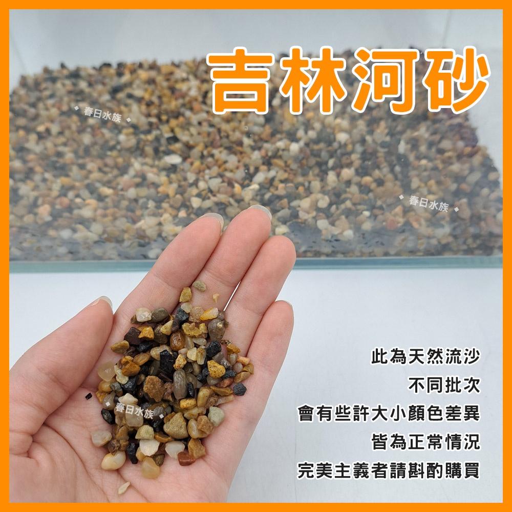 水族底砂 吉林河砂 1.5KG / 3KG 魚缸底砂 造景底砂 天然流砂 河溪石 孔雀魚 魚缸裝飾 河砂