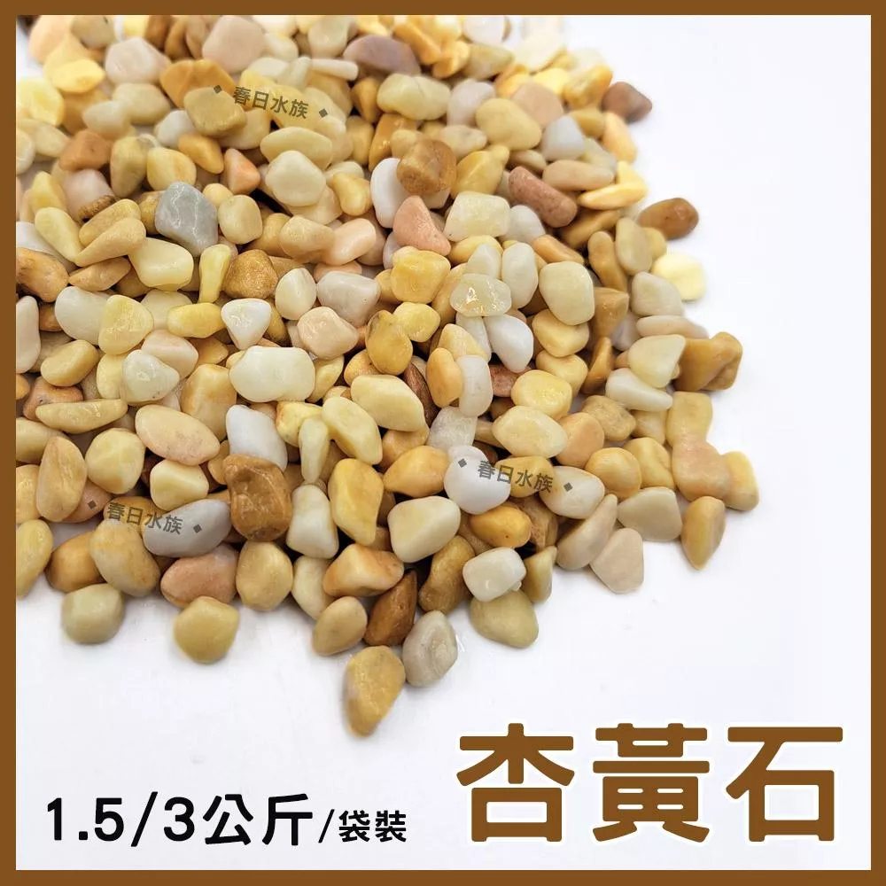 杏黃石 1.5 / 3公斤 黃色底砂 黃色底沙 淺色 淡色 水族底砂 水族裝飾 魚缸布置 造景裝飾 中性底砂