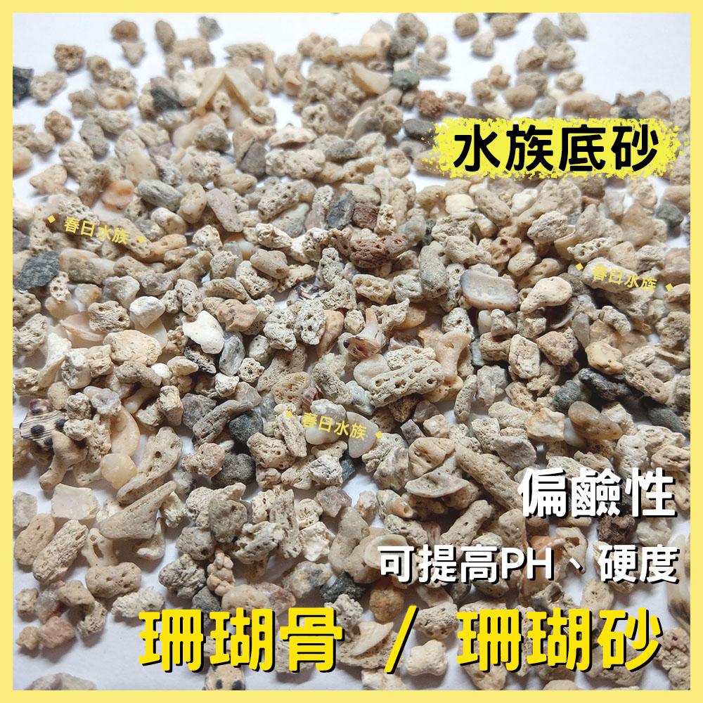 珊瑚砂 珊瑚骨 天然底砂 底砂 穩定水質 提高硬度 KH 弱鹼 海水缸 濾材 海水 ph PH值 硬度 鈣