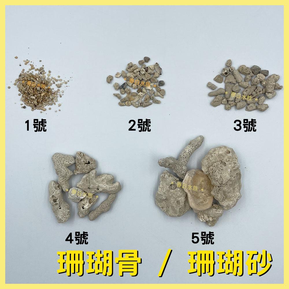 珊瑚砂 珊瑚骨 天然底砂 底砂 穩定水質 提高硬度 KH 弱鹼 海水缸 濾材 海水 ph PH值 硬度 鈣