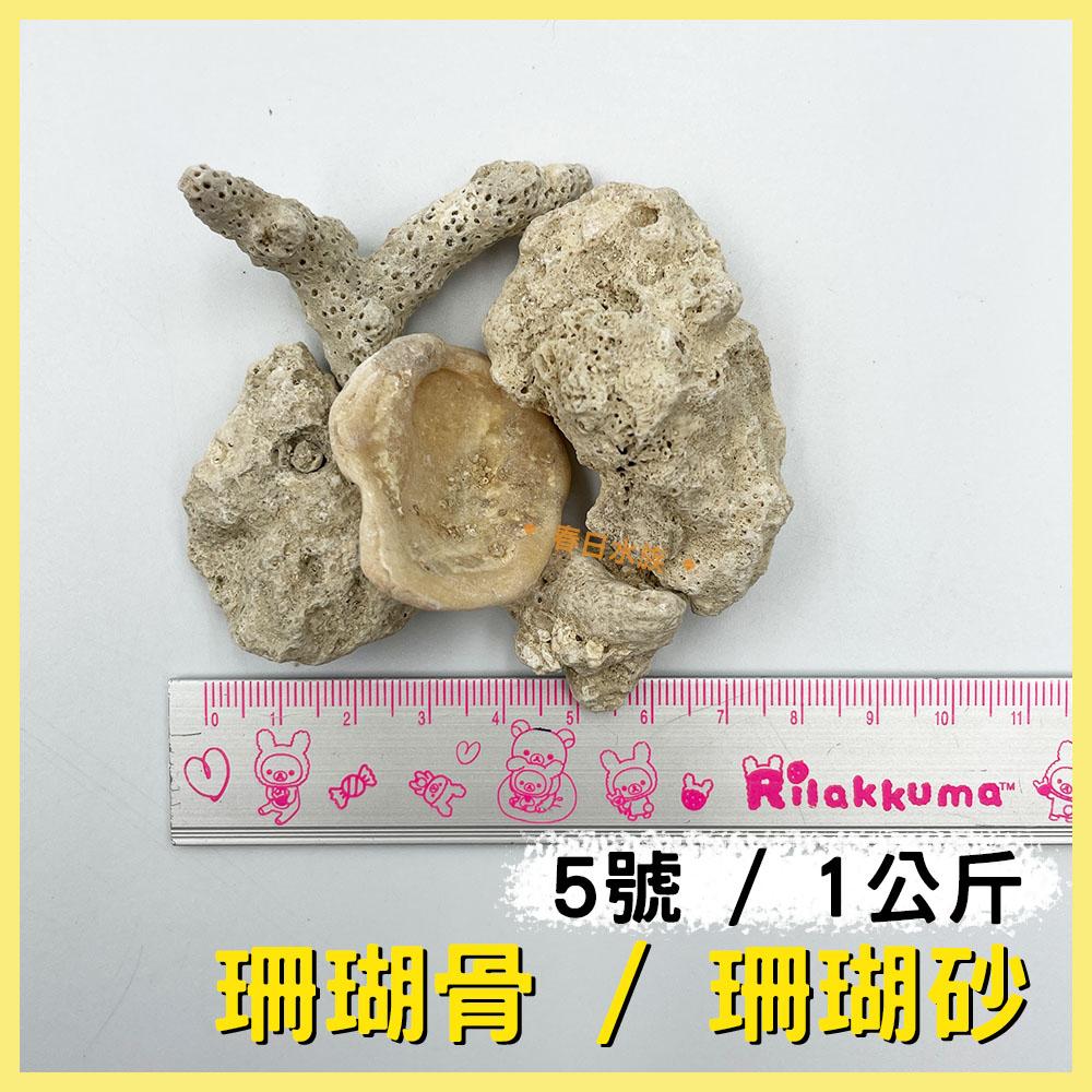 珊瑚砂 珊瑚骨 天然底砂 底砂 穩定水質 提高硬度 KH 弱鹼 海水缸 濾材 海水 ph PH值 硬度 鈣