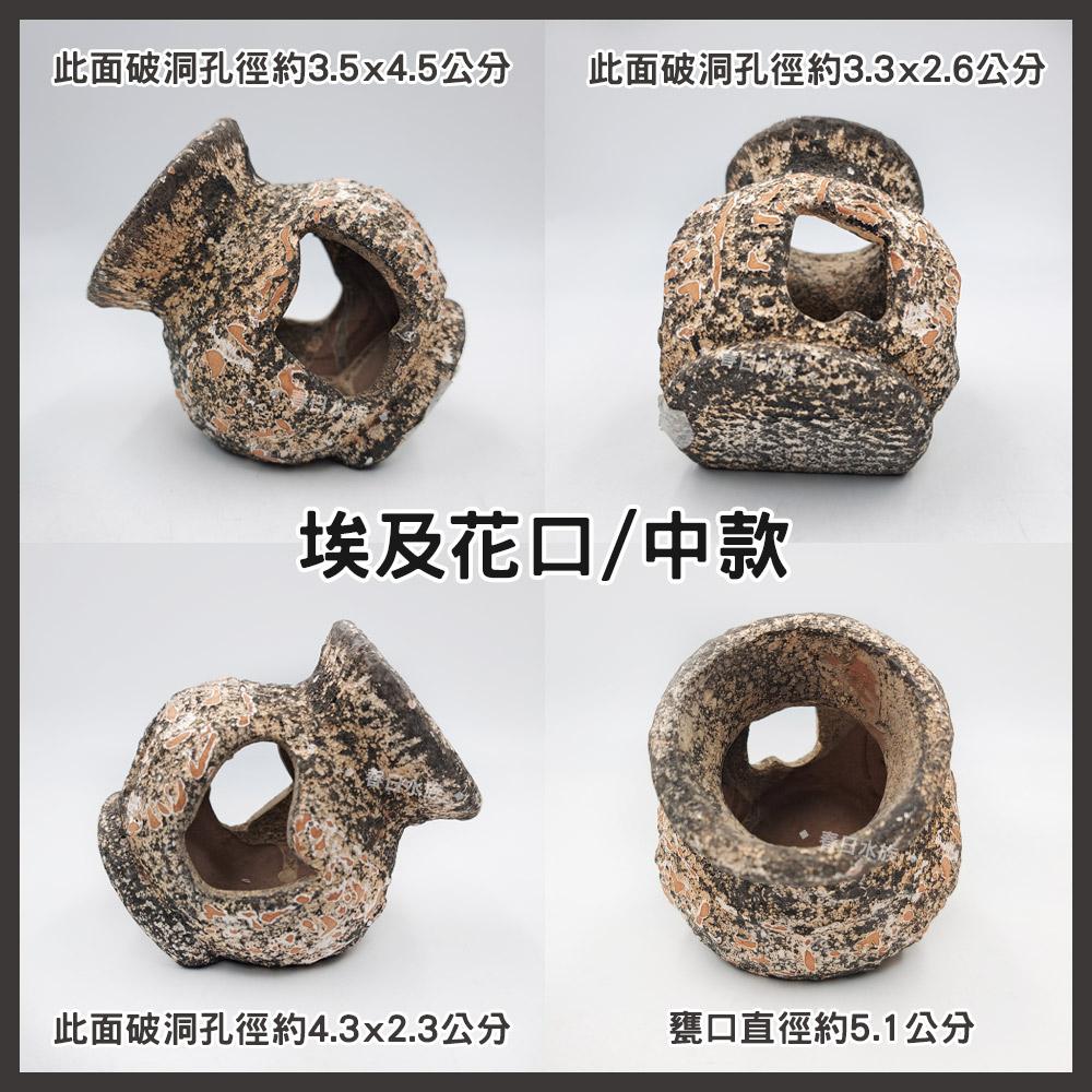 UP雅柏 埃及花口 陶瓷甕 海底甕 裝飾品 陶瓷飾品 底部裝飾 造景 擺飾 水族缸 陶瓷品 躲藏 繁殖甕