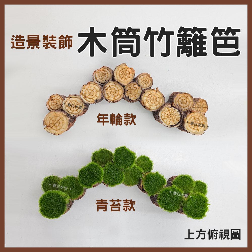 木筒竹籬笆 青苔款 / 年輪款 造景裝飾 擺飾 沉底裝飾 底部裝飾 居家擺飾 桌上擺飾 造型裝飾品