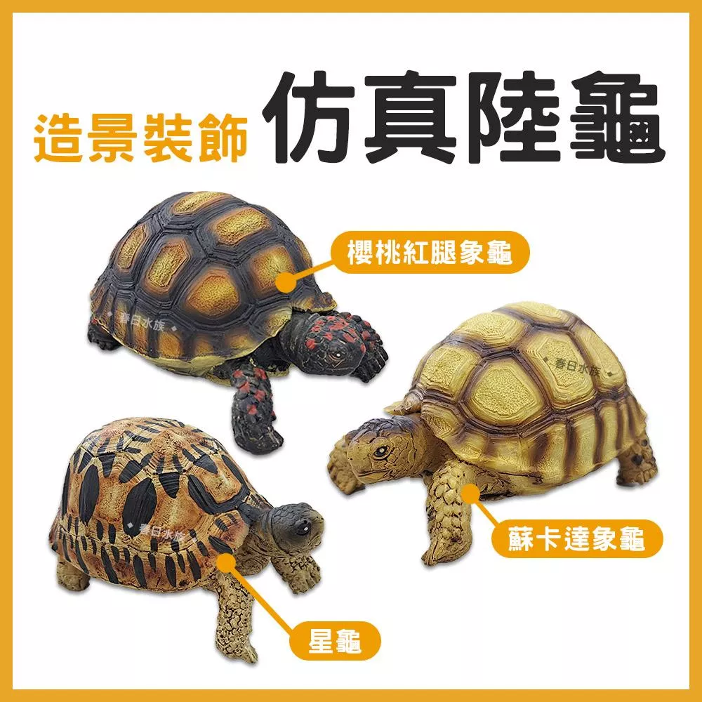 仿真陸龜飾品 蘇卡達 櫻桃紅腿象龜 星龜 陸龜 象龜 飾品 魚缸飾品 水族飾品 烏龜 小裝飾品 模型 造景裝飾