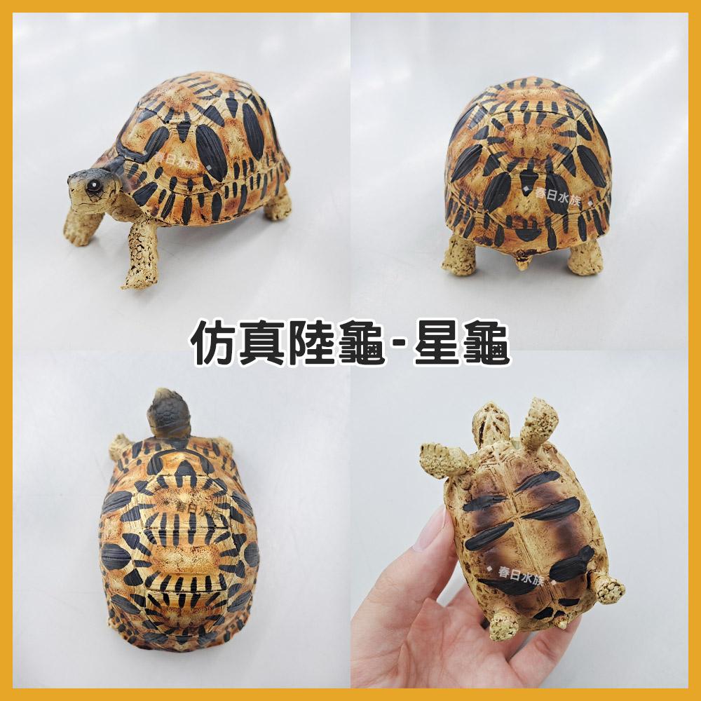 仿真陸龜飾品 蘇卡達 櫻桃紅腿象龜 星龜 陸龜 象龜 飾品 魚缸飾品 水族飾品 烏龜 小裝飾品 模型 造景裝飾