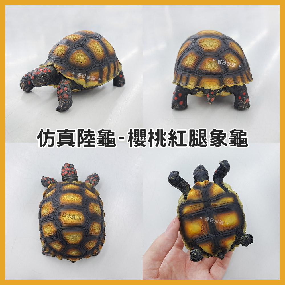 仿真陸龜飾品 蘇卡達 櫻桃紅腿象龜 星龜 陸龜 象龜 飾品 魚缸飾品 水族飾品 烏龜 小裝飾品 模型 造景裝飾