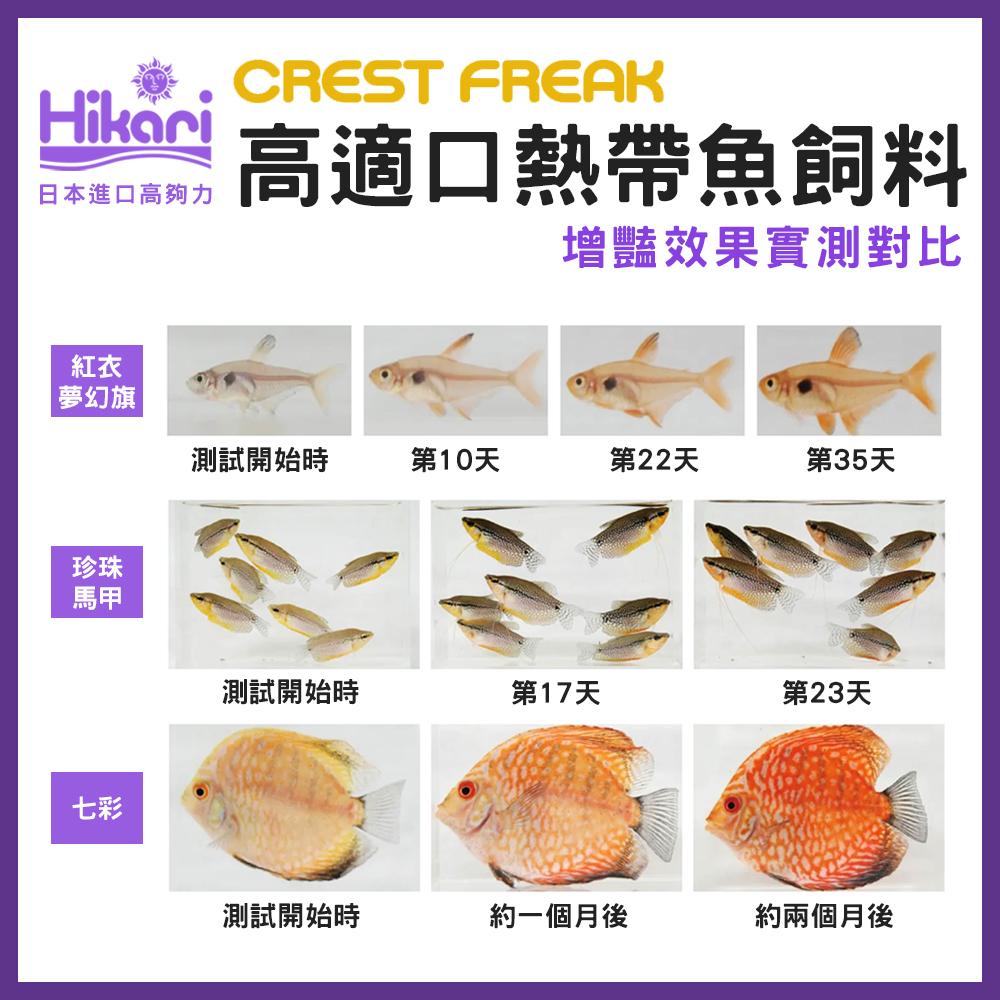 高夠力 Hikari CREST FREAK 高適口熱帶魚飼料 善玉菌 七彩 神仙 羅漢 燈魚 孔雀魚 增豔 CF系列