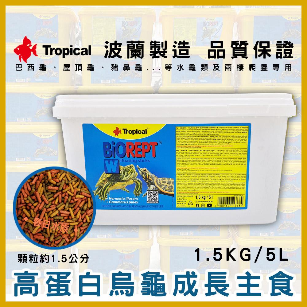 Tropical 烏龜成長飼料 高蛋白乾蝦 1L／5L 澤龜烏龜飼料 鈣質 浮水 主食副食 德比克