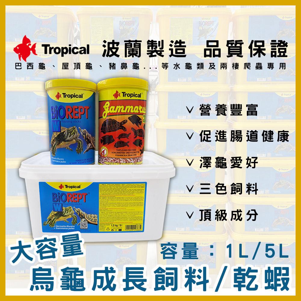 Tropical 高蛋白乾蝦／烏龜成長飼料 烏龜乾蝦 烏龜飼料 乾燥蝦 鈣質 蝦乾 斑龜飼料 德比克