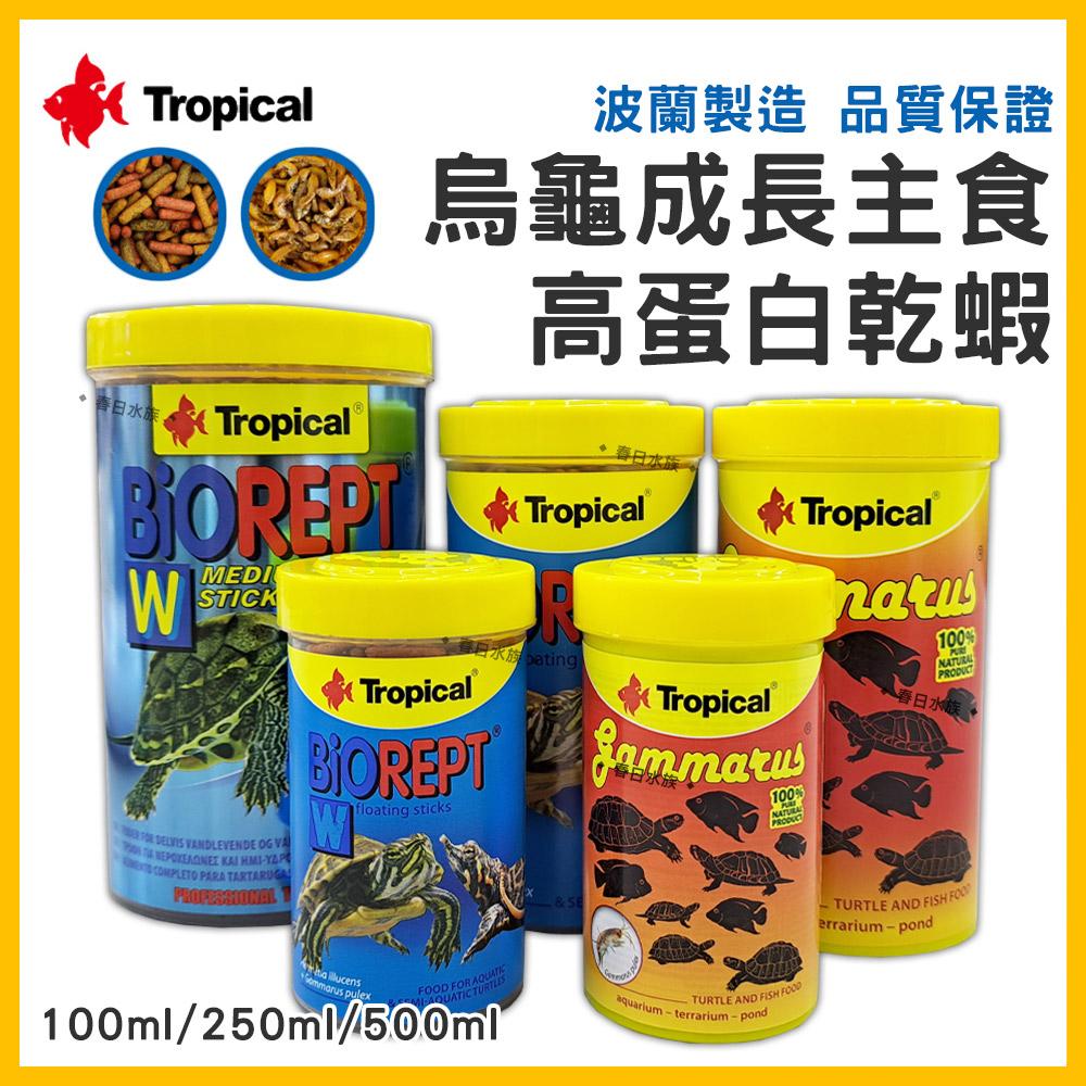 Tropical 高蛋白乾蝦／烏龜成長飼料 烏龜乾蝦 烏龜飼料 乾燥蝦 鈣質 蝦乾 斑龜飼料 德比克