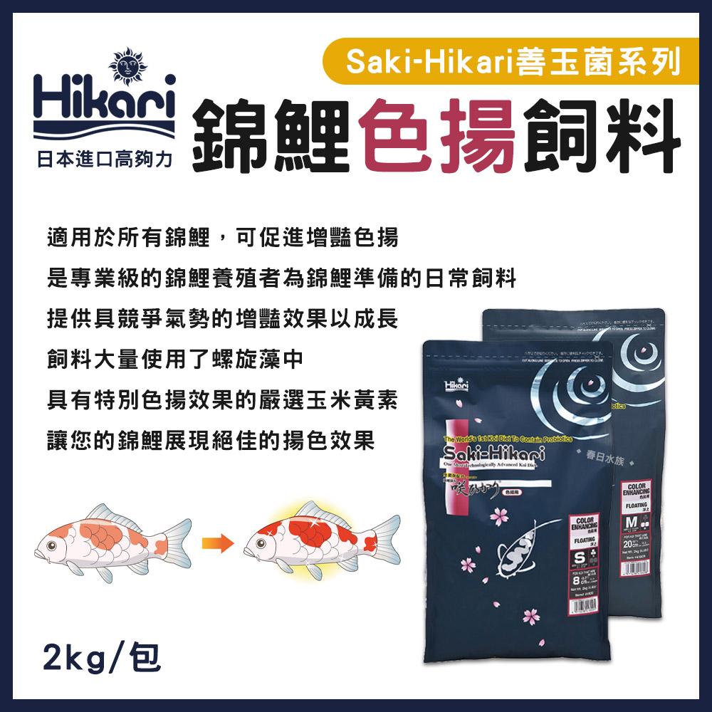 高夠力 Saki-Hikari 頂級錦鯉飼料 善玉菌系列 增豔色揚 增體 育成 冠軍多季節 增艷