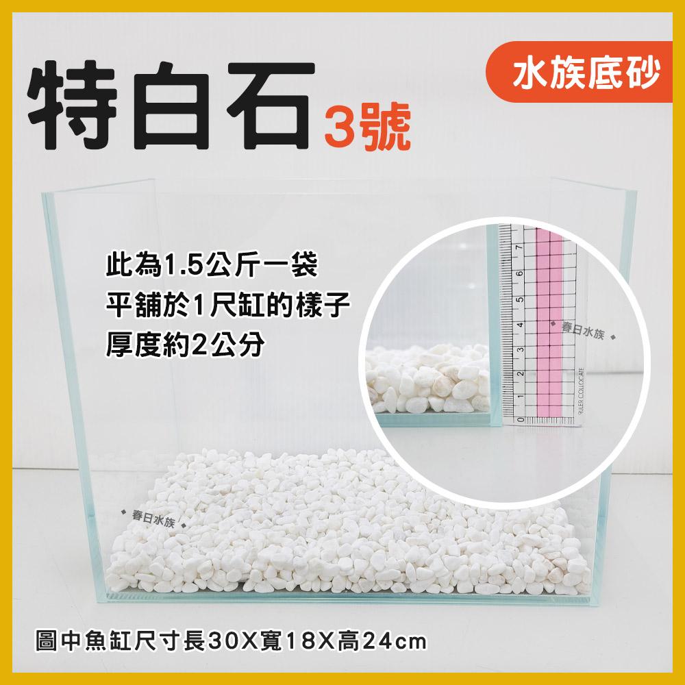 特白石 1.5公斤 1號 / 2號 / 3號 白砂 白色底砂 白底砂 中性底砂 底沙 多肉植物 底砂