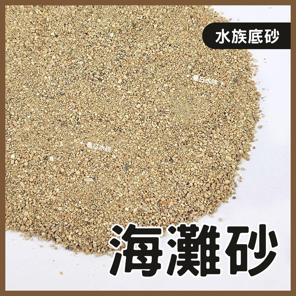 海灘砂 0號 1.5kg 3kg 海灘沙 珊瑚砂 菲律賓砂 底砂 底沙 細砂 天然底砂 海灘沙 造景 裝飾