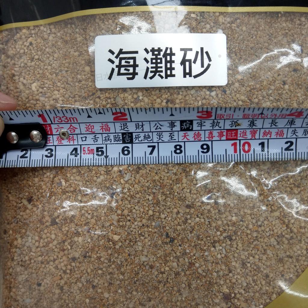 海灘砂 0號 1.5kg 3kg 海灘沙 珊瑚砂 菲律賓砂 底砂 底沙 細砂 天然底砂 海灘沙 造景 裝飾