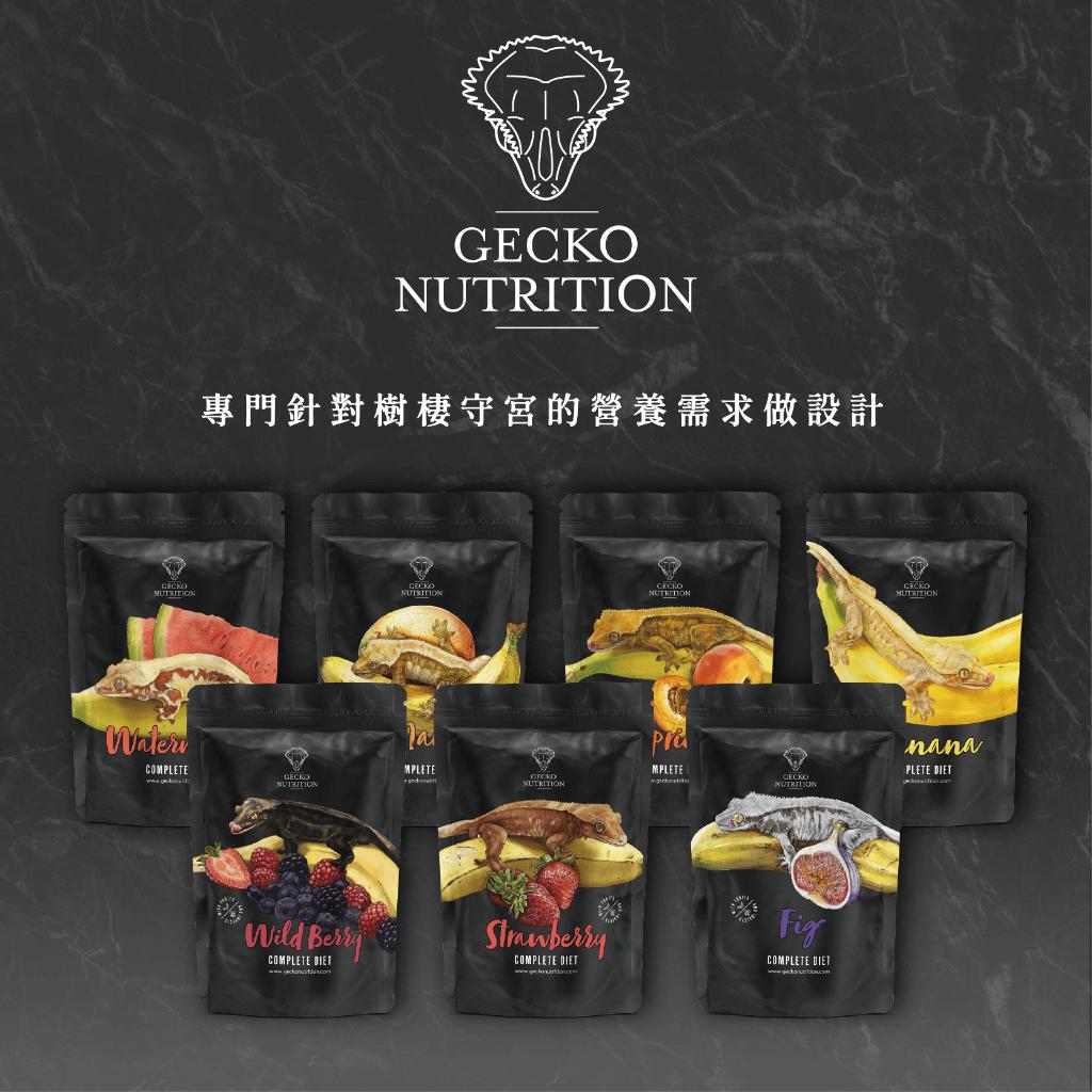 GN果泥 Gecko Nutrition 睫角守宮 蓋勾亞 巨人 樹棲守宮 守宮果泥 守宮飼料 爬蟲 德國製