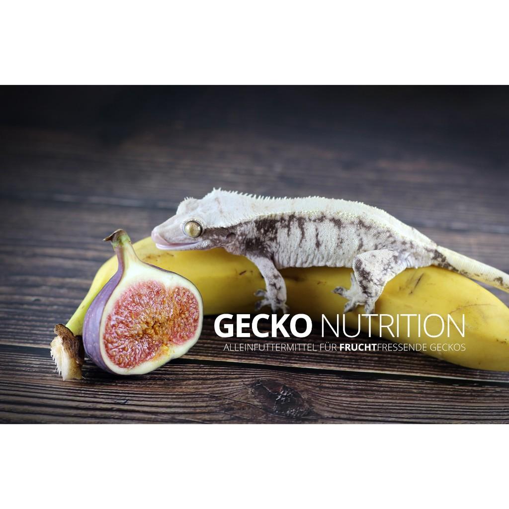 GN果泥 Gecko Nutrition 睫角守宮 蓋勾亞 巨人 樹棲守宮 守宮果泥 守宮飼料 爬蟲 德國製