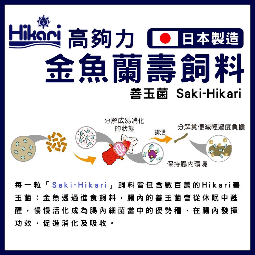 高夠力 金魚蘭壽飼料 Mini 100g 350g 沉水性 Saki善玉菌 獅頭 蘭壽 東錦 壽星 Hikari