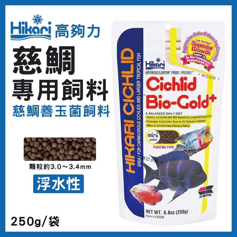 高夠力 慈鯛專用飼料 善玉菌/增豔飼料 250g 肉食性慈鯛 草食性慈鯛 非洲慈鯛 羅漢 Hikari