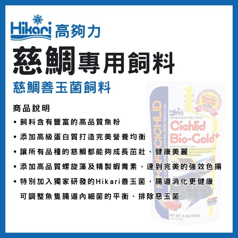 高夠力 慈鯛專用飼料 善玉菌/增豔飼料 250g 肉食性慈鯛 草食性慈鯛 非洲慈鯛 羅漢 Hikari