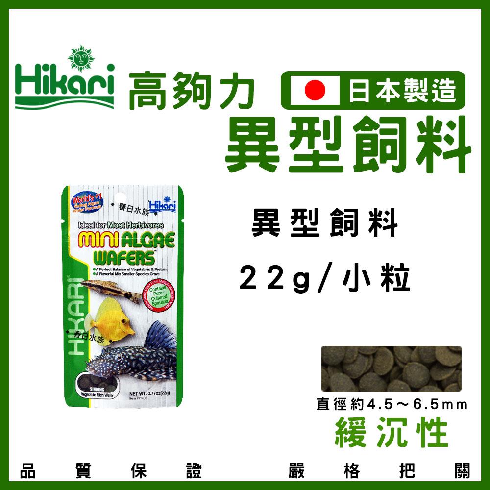Hikari 高夠力 鼠魚 異型 飼料 沉水性 底棲魚 花鼠 咖啡鼠 三間鼠 下沉飼料 沉底飼料