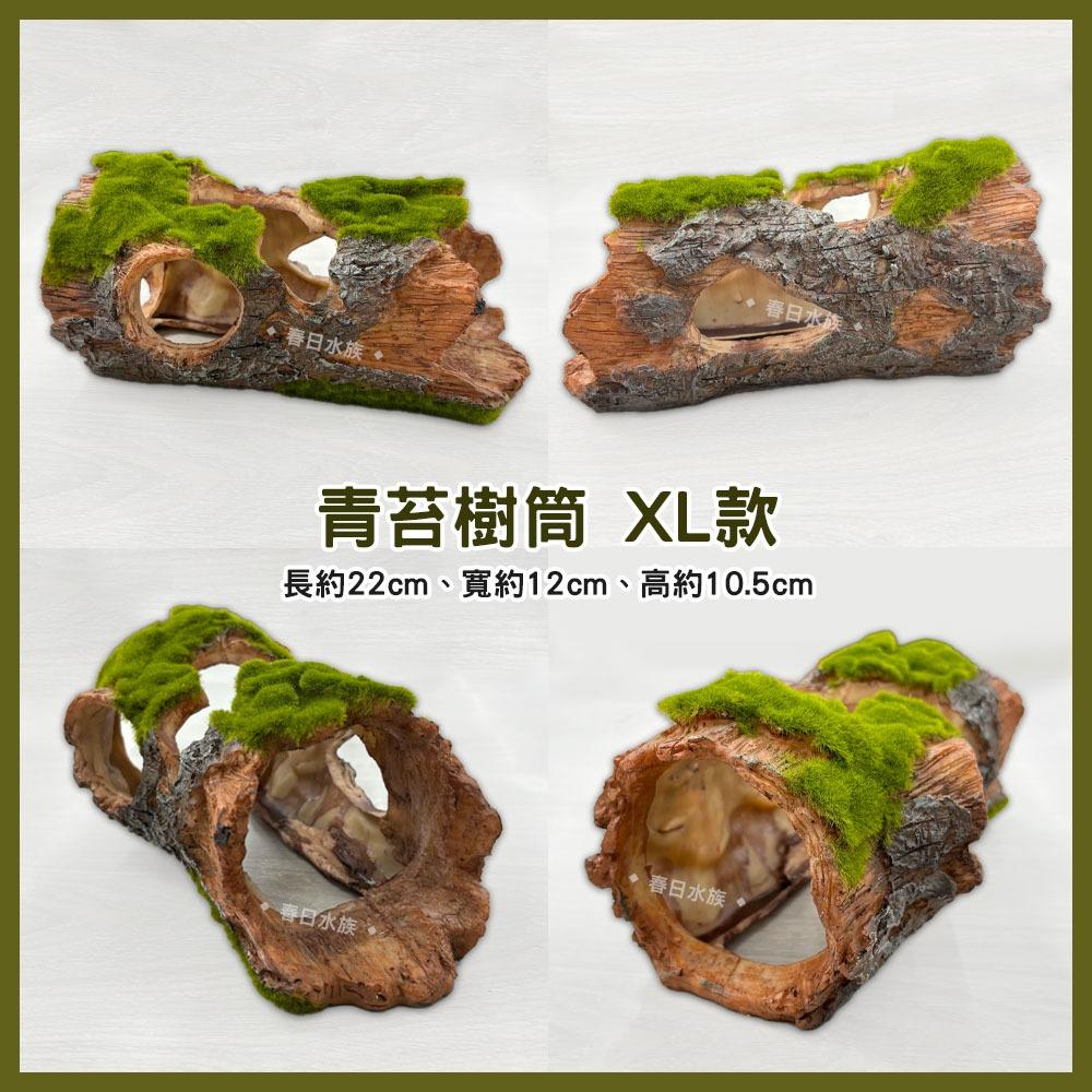 青苔木桶 / 樹筒 破桶 裝飾品 造景裝飾 擺飾 沉底裝飾 底部裝飾 居家擺飾 桌上擺飾 造型裝飾 魚缸擺件