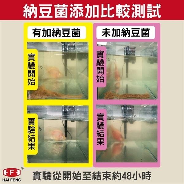 海豐 親密伙伴 GP+ 龍鯉／金魚育成飼料 浮水性 獅頭 玉如意 錦鯉 琉金 金魚 飼料 HAI FENG