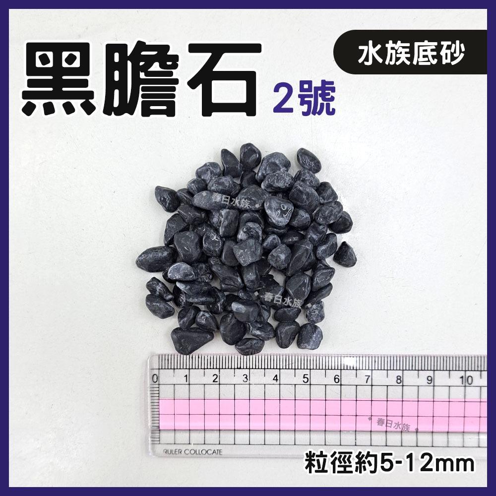 霧面黑膽石 1.5kg 3kg 黑膽石 黑扁石 極黑 底砂 增豔 顯色 造景裝飾 中性 天然底砂 米蝦 過濾