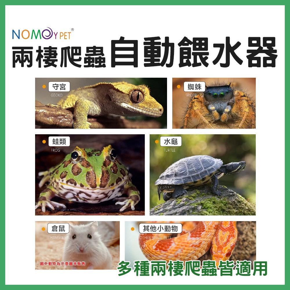 NOMOY 諾摩 六角自動餵水器 兩棲爬蟲  寵物喝水 寵物飲水器 補水器 加濕器 陸龜 星龜 蘇卡達 蜥蜴 守宮 角蛙