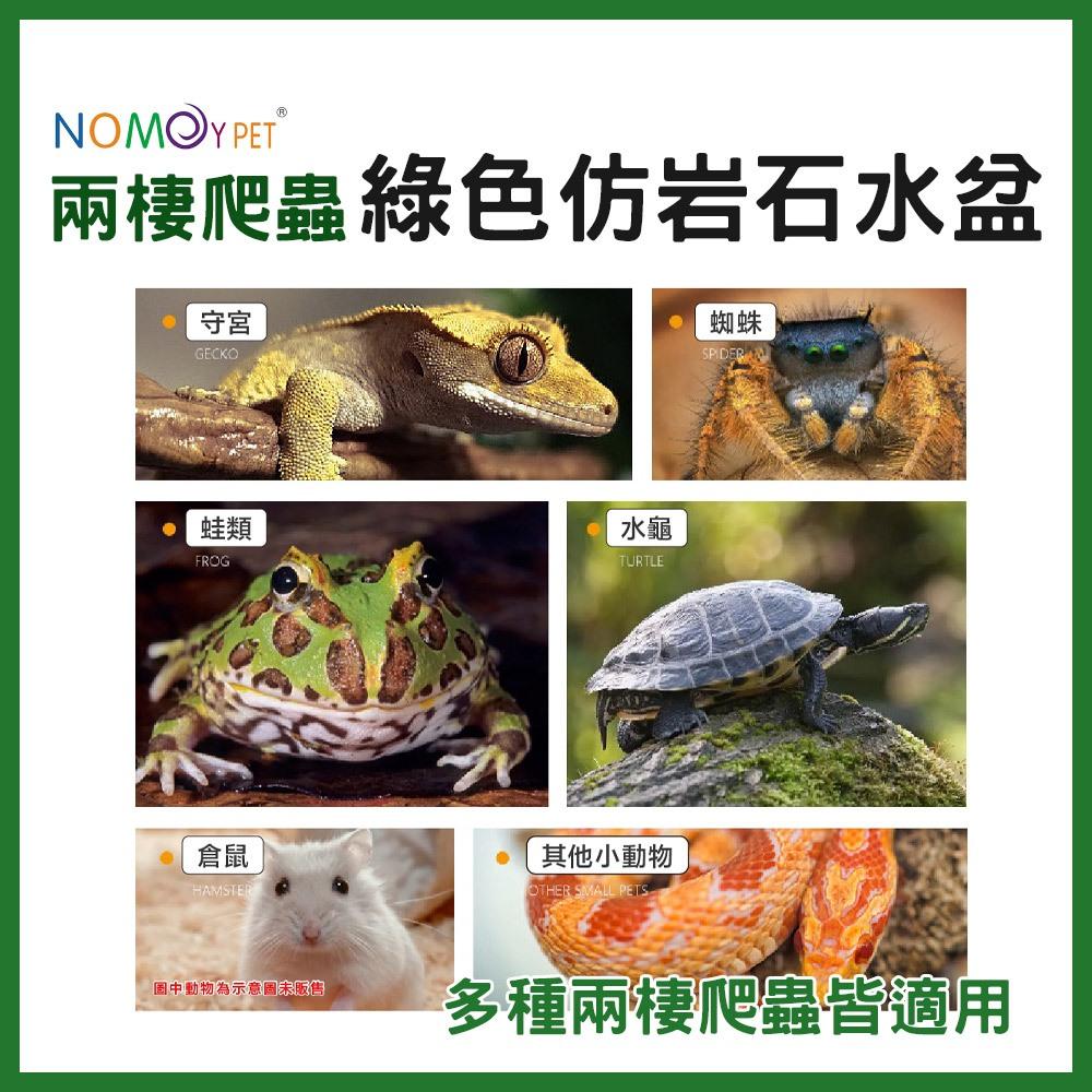 NOMOY 諾摩 綠色仿岩石水盆 兩棲爬蟲 餵水盆 餵食盆 飼料盆 泡水盆 泡澡盆 陸龜 守宮 蜥蜴 角蛙 諾摩