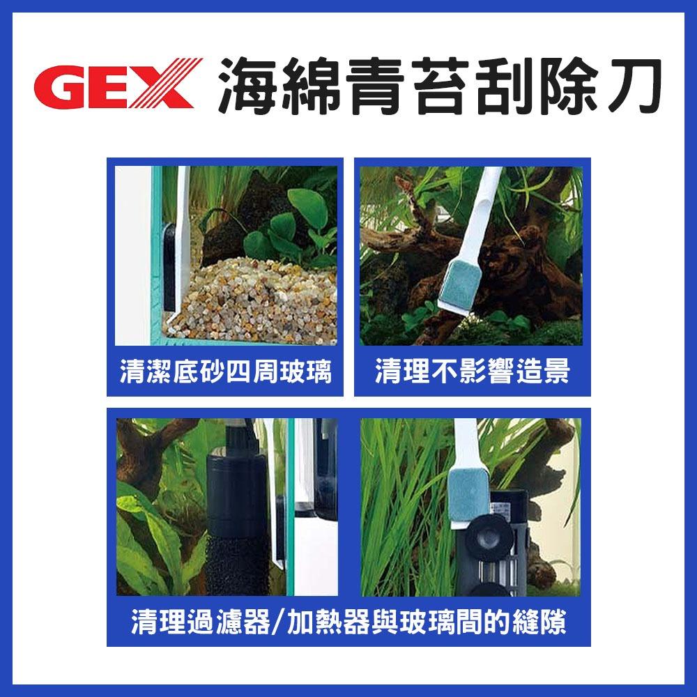 GEX 海綿青苔刮除刀 青苔刮除刷 刮刀 海綿 除青苔 除藻 魚缸清潔 刷魚缸 魚缸刷 清潔刷 小刷子 五味