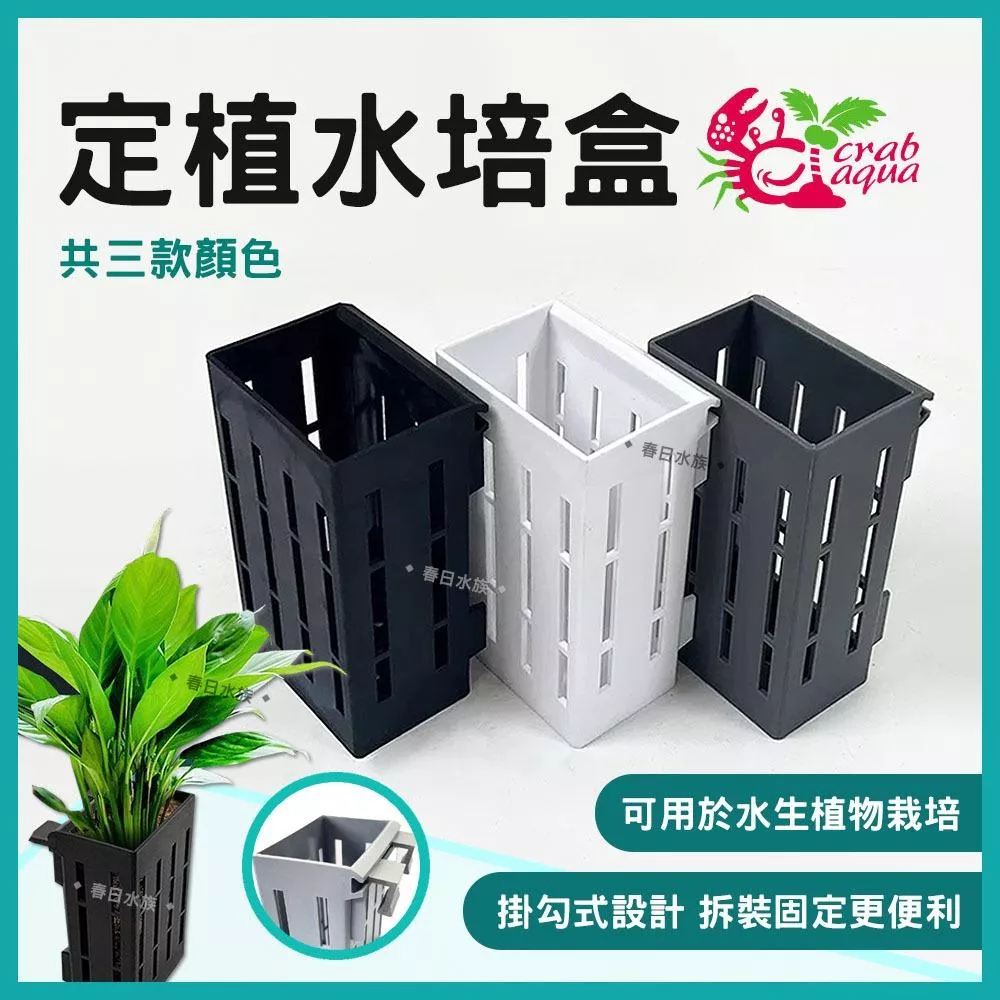 小螃蟹 定植水培盒 水草 魚缸定植盆 魚菜共生 水耕盆 水生植物栽培盒 盆栽支架水草工具 水族用品 收納架 Crab Aqua