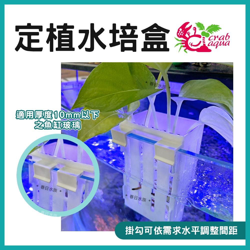 小螃蟹 定植水培盒 水草 魚缸定植盆 魚菜共生 水耕盆 水生植物栽培盒 盆栽支架水草工具 水族用品 收納架 Crab Aqua