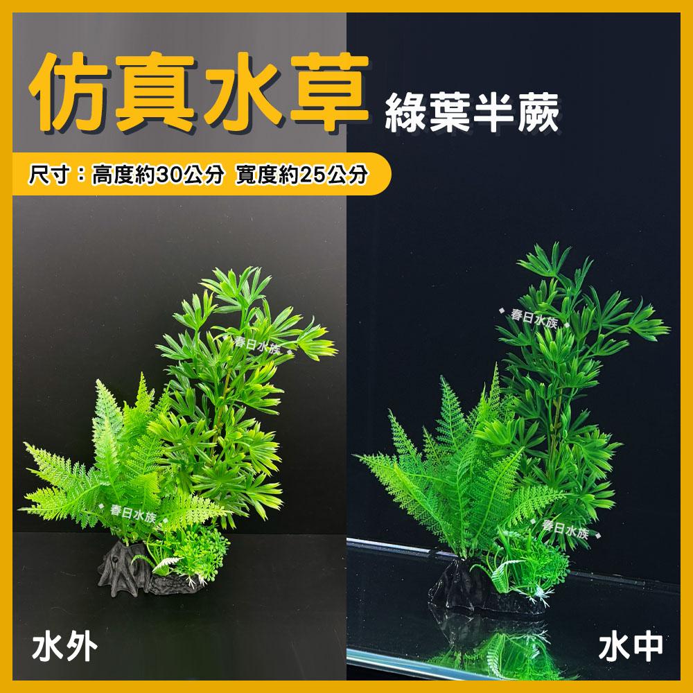 中大型仿真水草 高仿真 假水草 假花假草 擬真 魚缸造景 水族 魚缸 造景裝飾 園藝 飾品 紅色水草 不枯草