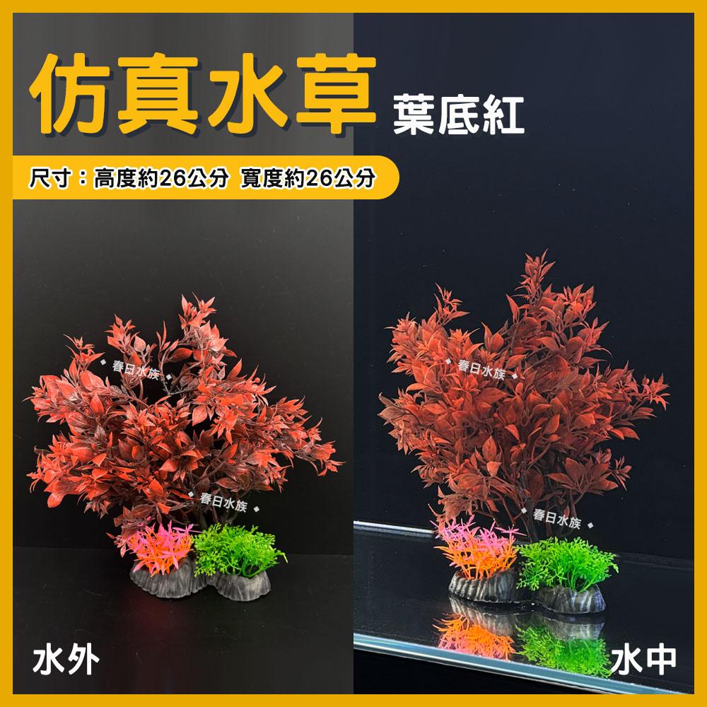 中大型仿真水草 高仿真 假水草 假花假草 擬真 魚缸造景 水族 魚缸 造景裝飾 園藝 飾品 紅色水草 不枯草