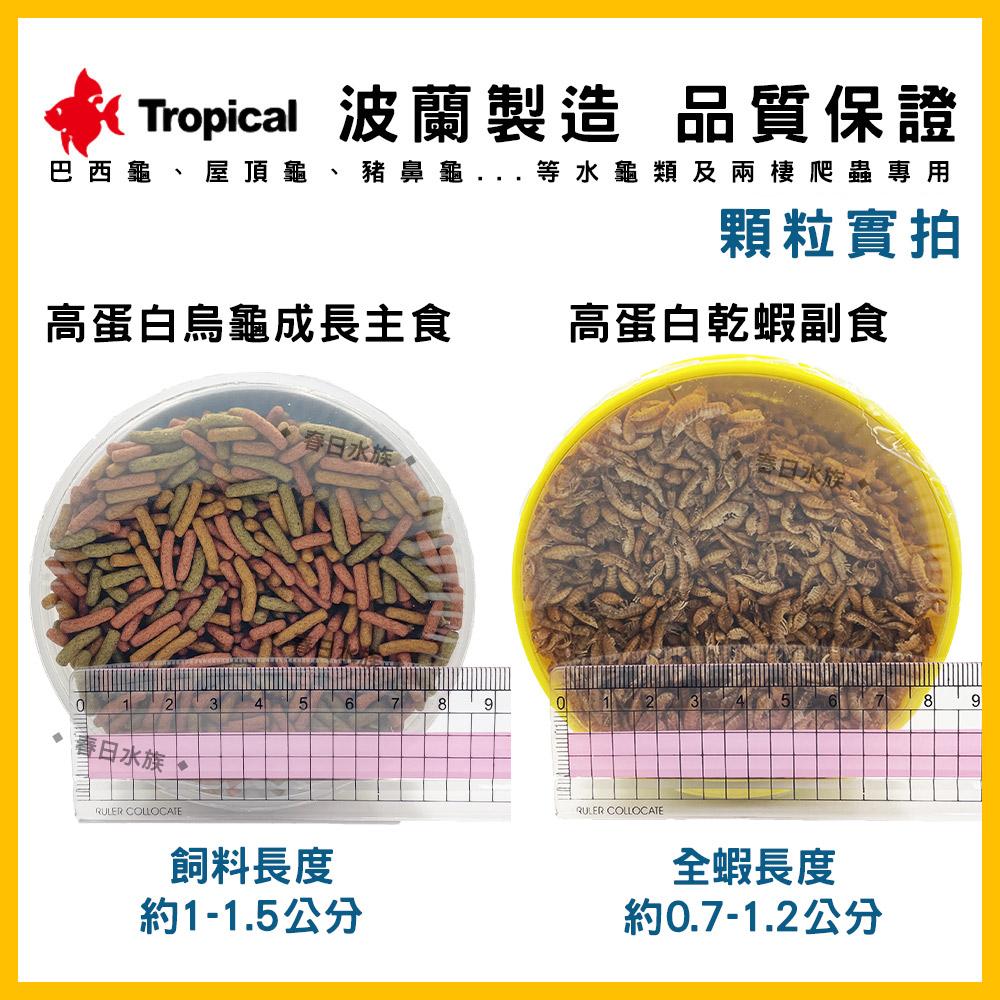 Tropical 烏龜成長飼料 高蛋白乾蝦 1L／5L 澤龜烏龜飼料 鈣質 浮水 主食副食 德比克