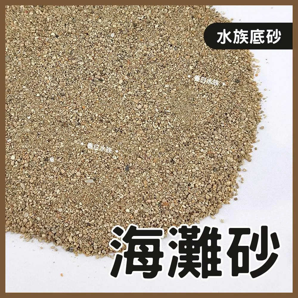 海灘砂 0號 1.5kg 3kg 海灘沙 珊瑚砂 菲律賓砂 底砂 底沙 細砂 天然底砂 海灘沙 造景 裝飾