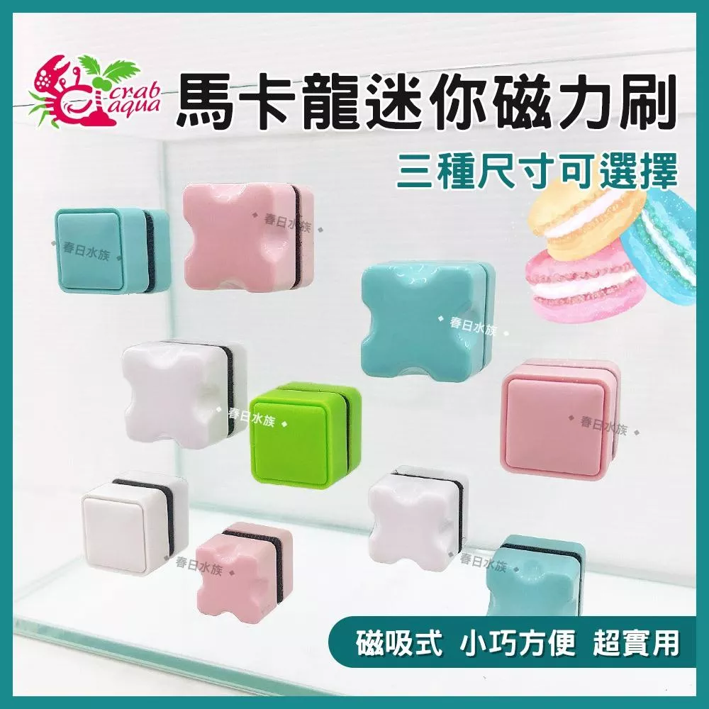 小螃蟹 馬卡龍迷你磁力刷 磁鐵刷 魚缸刷 清潔刷 玻璃刷 水族箱 小魚缸 玻璃清潔 crab aqua