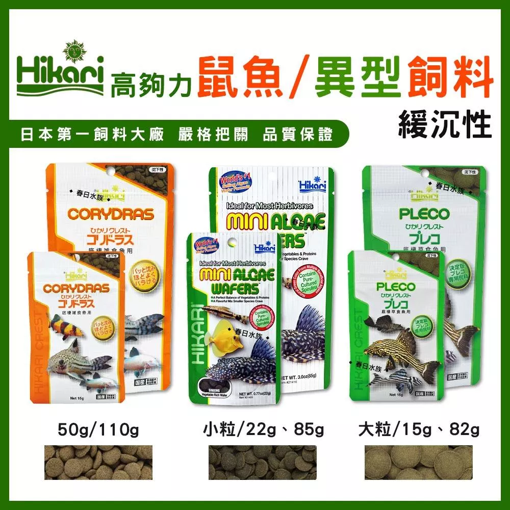 Hikari 高夠力 鼠魚 異型 飼料 沉水性 女王 底棲魚 花鼠 咖啡鼠 三間鼠 飼料 沉底飼料 異形飼料