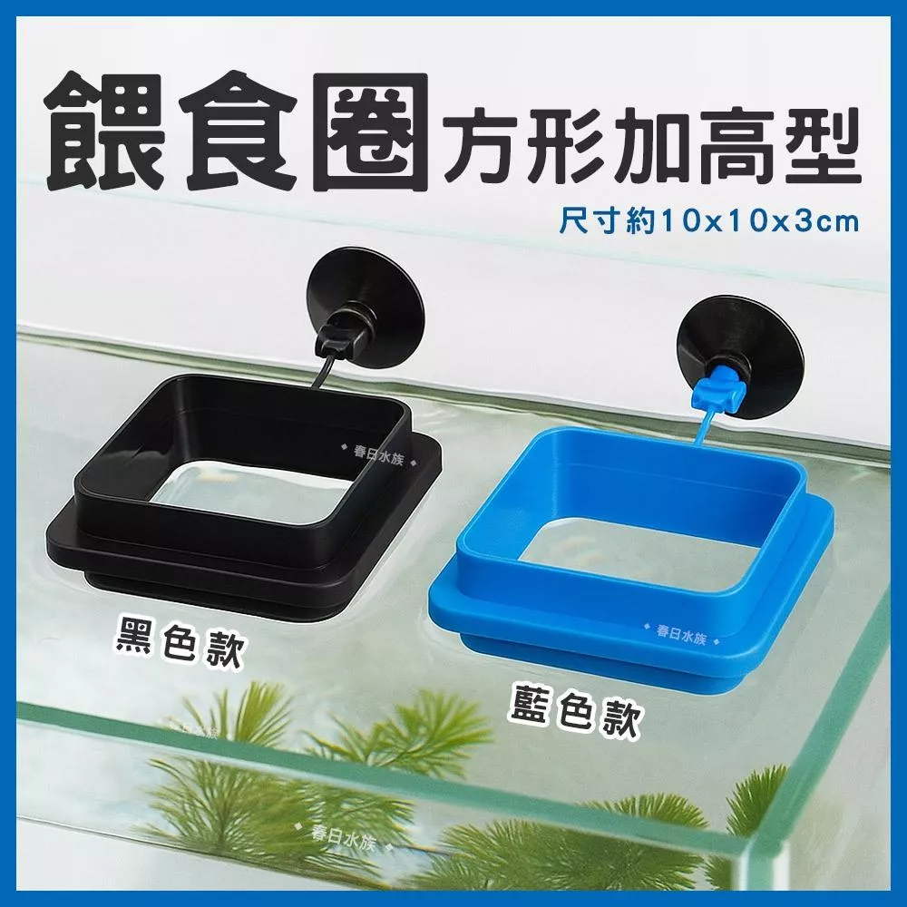 餵食圈 方形加高型 浮力餵食圈 浮水飼料餵食圈 餵食網 餵食器 餵魚 飼料集中器 水族飼料 飼料集中餵食圈