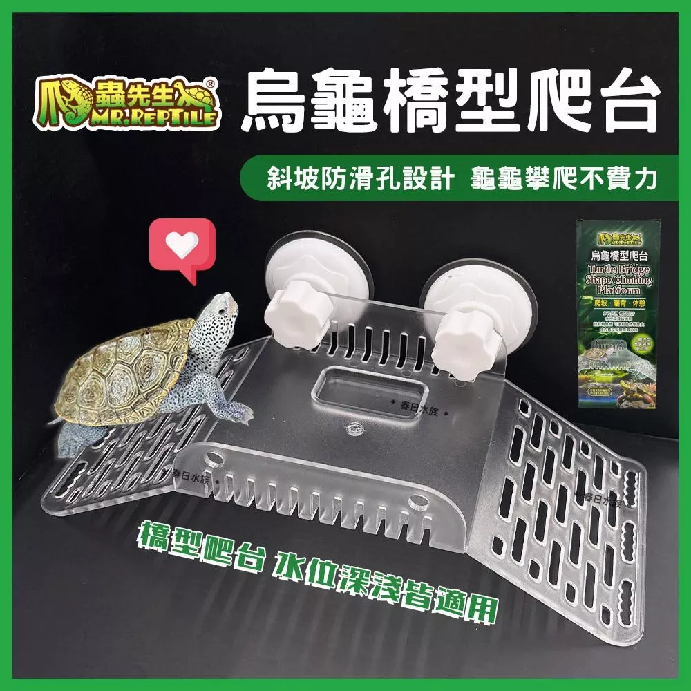 爬蟲先生 烏龜橋型爬台 烏龜平台 烏龜曬台 烏龜爬台 烏龜 烏龜島 曬背 巴西龜 澤龜 MR.Reptile